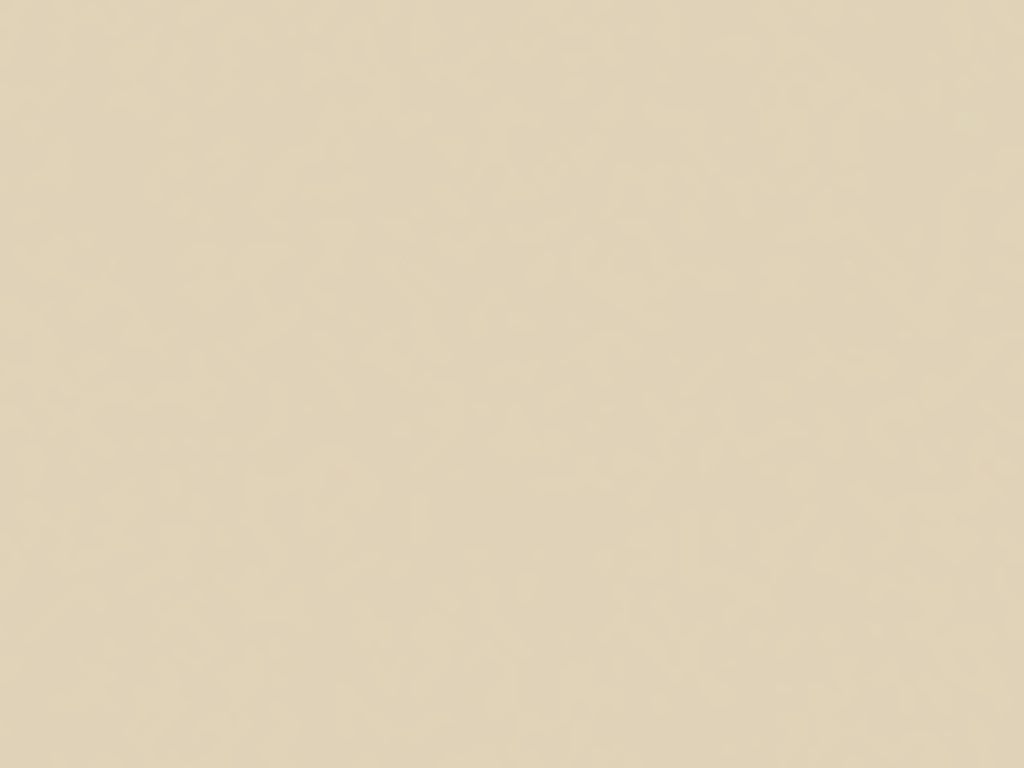 Дизайн панелей Гаражные секционные ворота с пружинами растяжения RSD01BIW 2500x2000