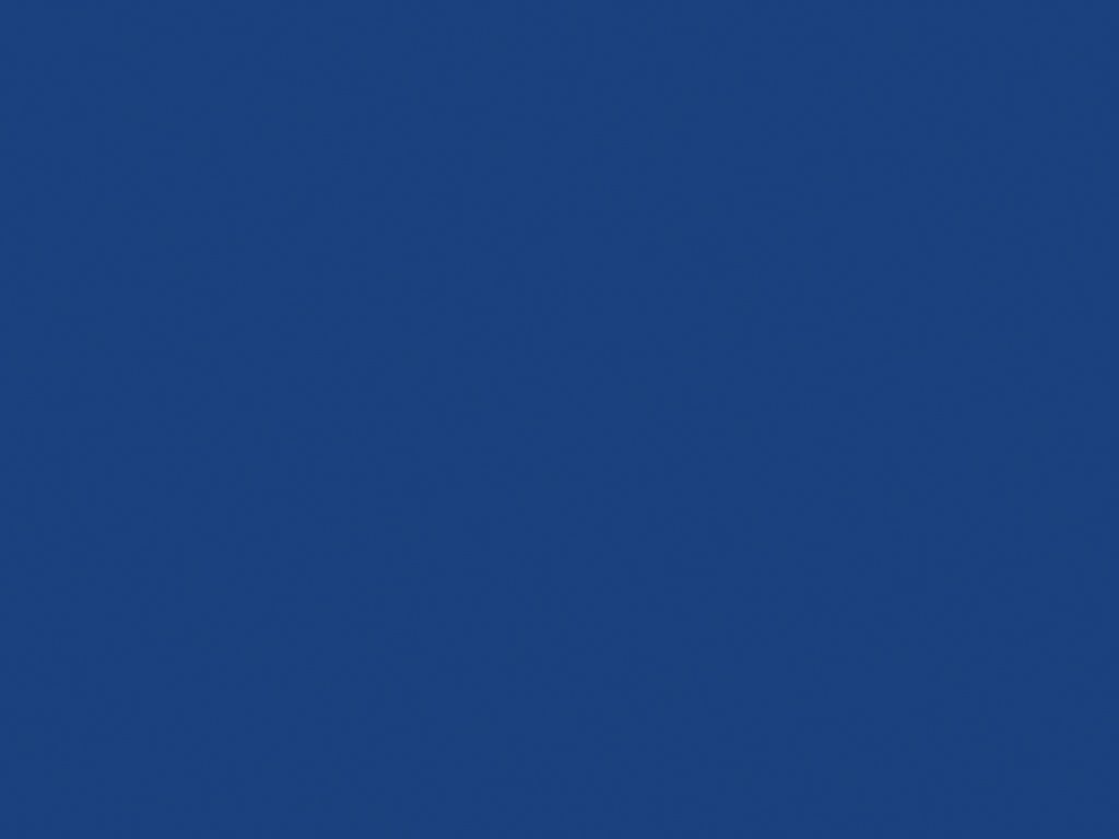 Дизайн панелей Гаражные секционные ворота с пружинами растяжения RSD01BIW 2500х2500